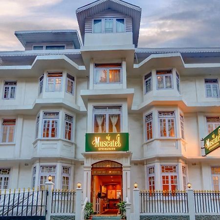Muscatel Spring Burn - 100 Mts From Mall Road Darjeeling  Eksteriør bilde
